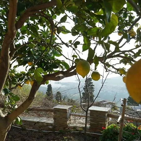 Alba Andros Traditional - 1 * Lámira